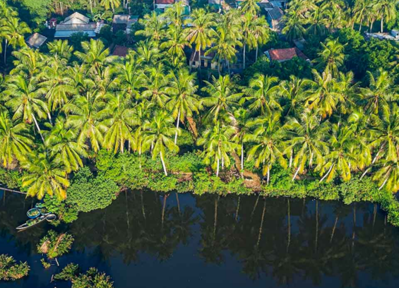 Ben Tre: The Green Gem of the Mekong Delta