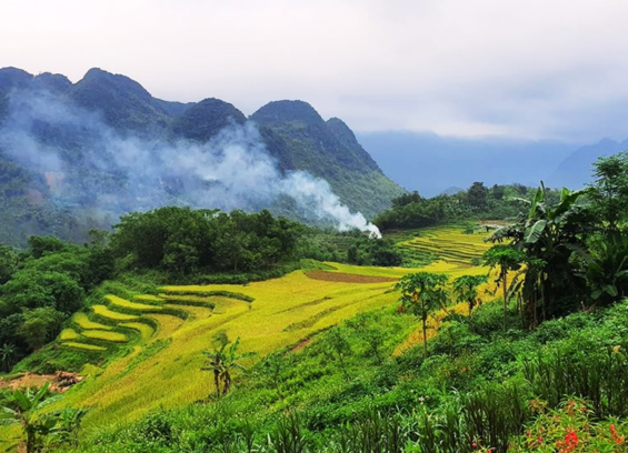 Pù Luông Nature Reserve, Vietnam: Best Time to Visit & Weather Guide